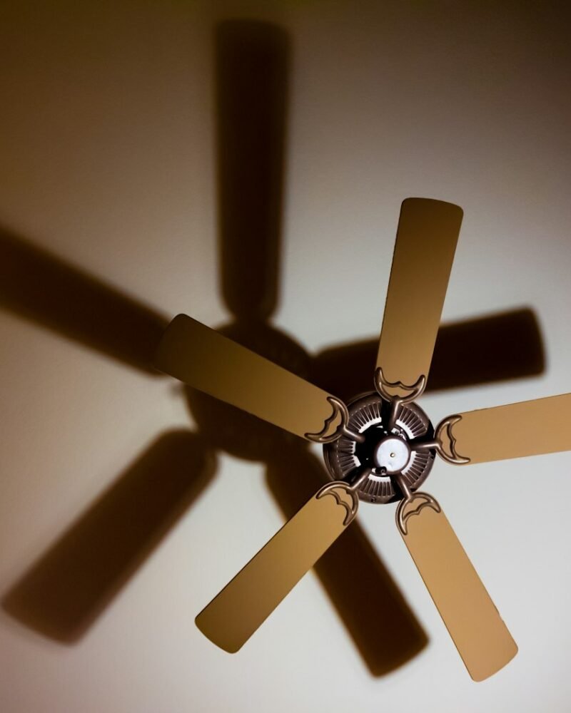 Ceiling fan shadow